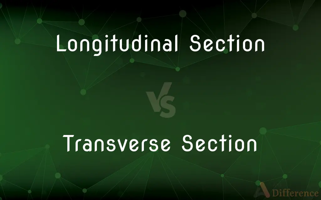 Longitudinal Section vs. Transverse Section — What's the Difference?