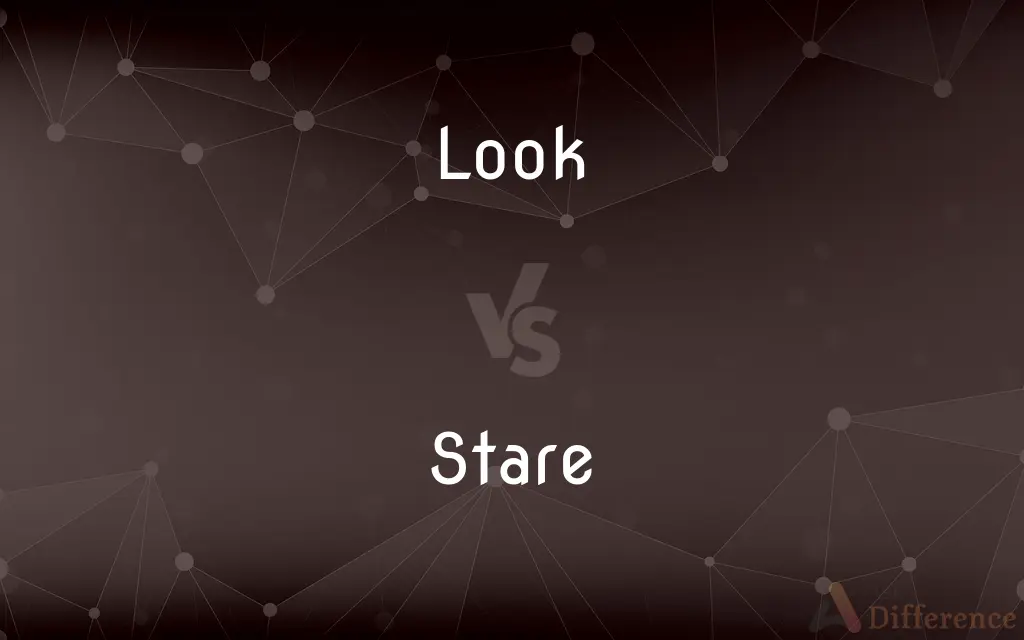 Look vs. Stare — What's the Difference?