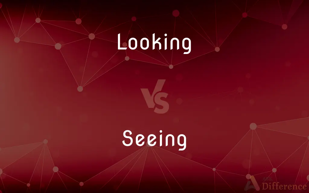 Looking vs. Seeing — What's the Difference?