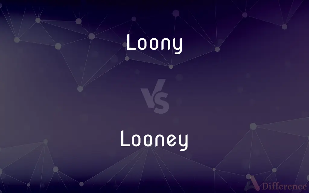 Loony vs. Looney — What's the Difference?