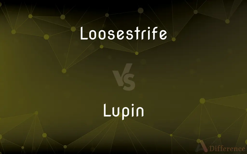 Loosestrife vs. Lupin — What's the Difference?