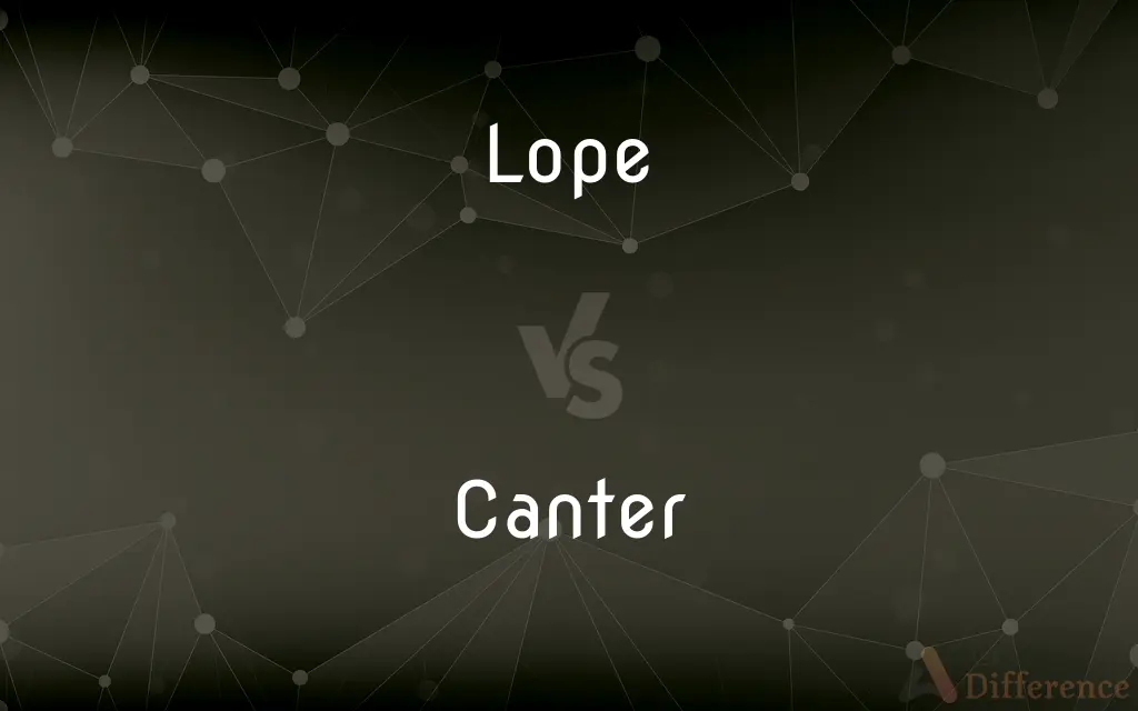 Lope vs. Canter — What's the Difference?