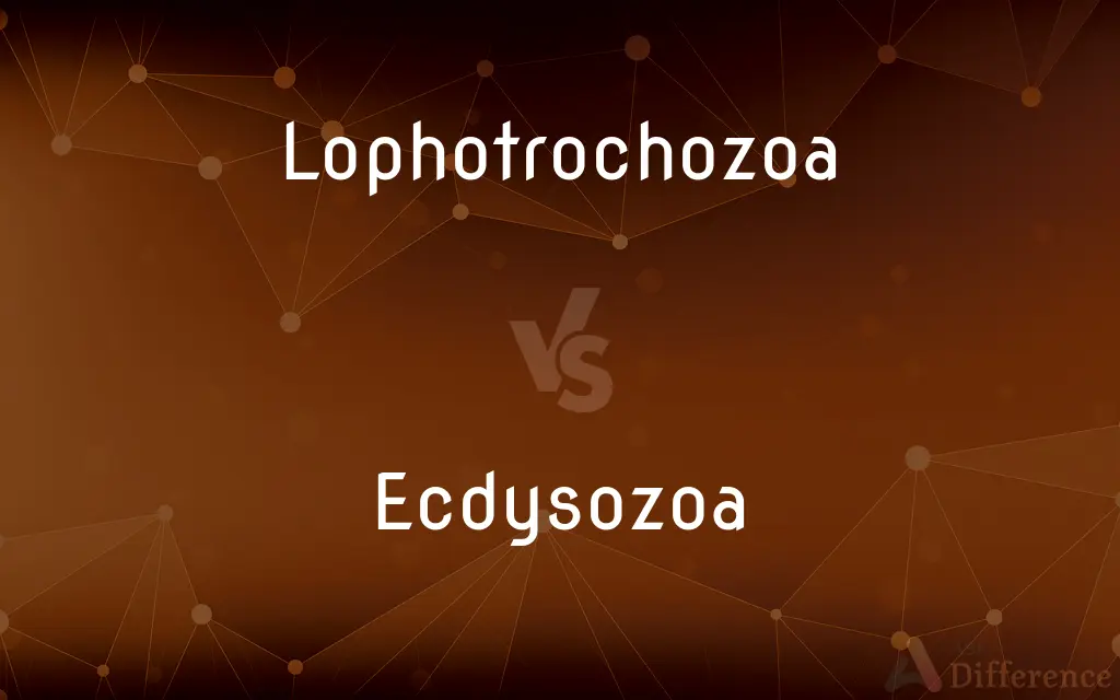 Lophotrochozoa vs. Ecdysozoa — What's the Difference?