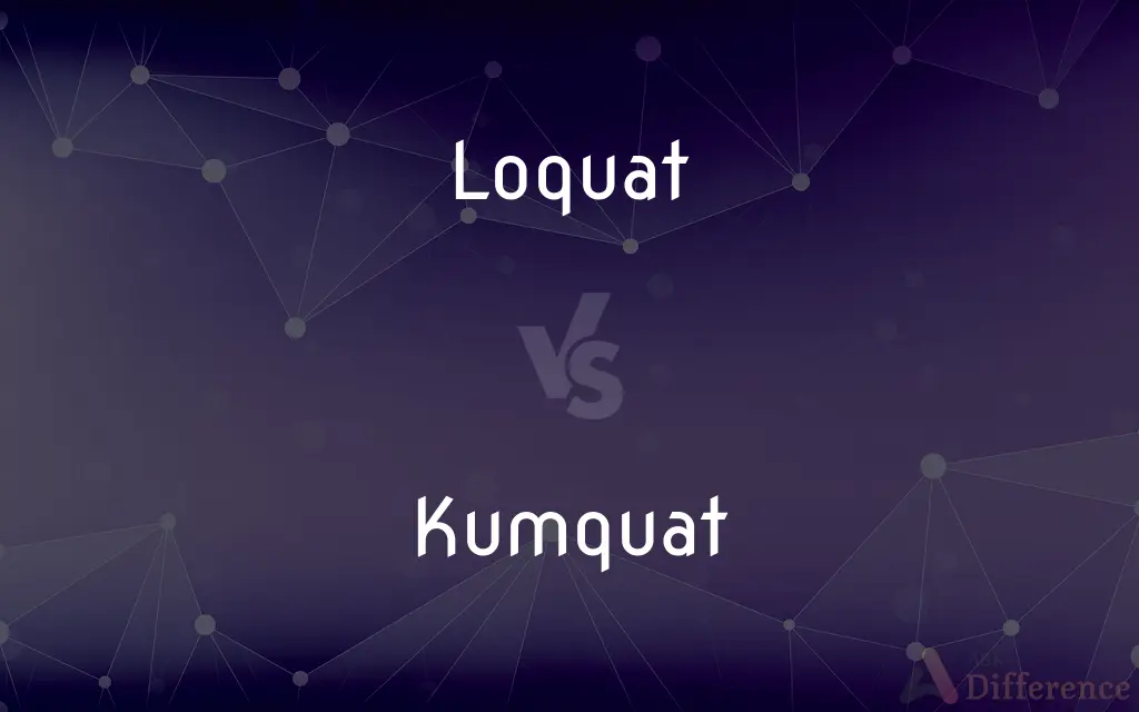 Loquat vs. Kumquat — What's the Difference?
