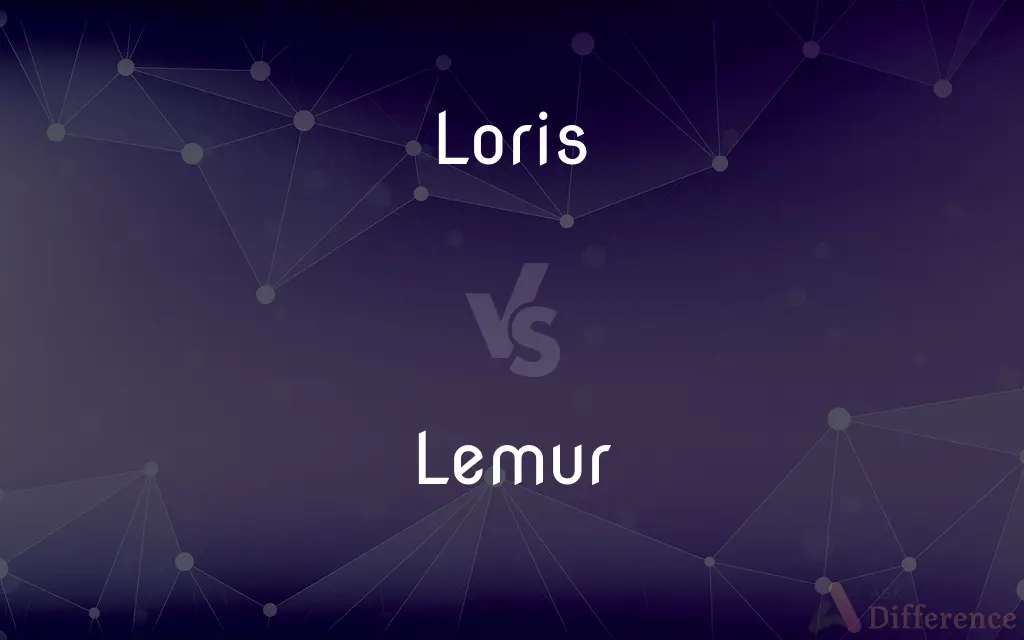 Loris vs. Lemur — What's the Difference?