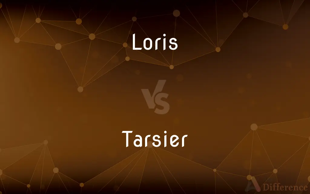 Loris vs. Tarsier — What's the Difference?