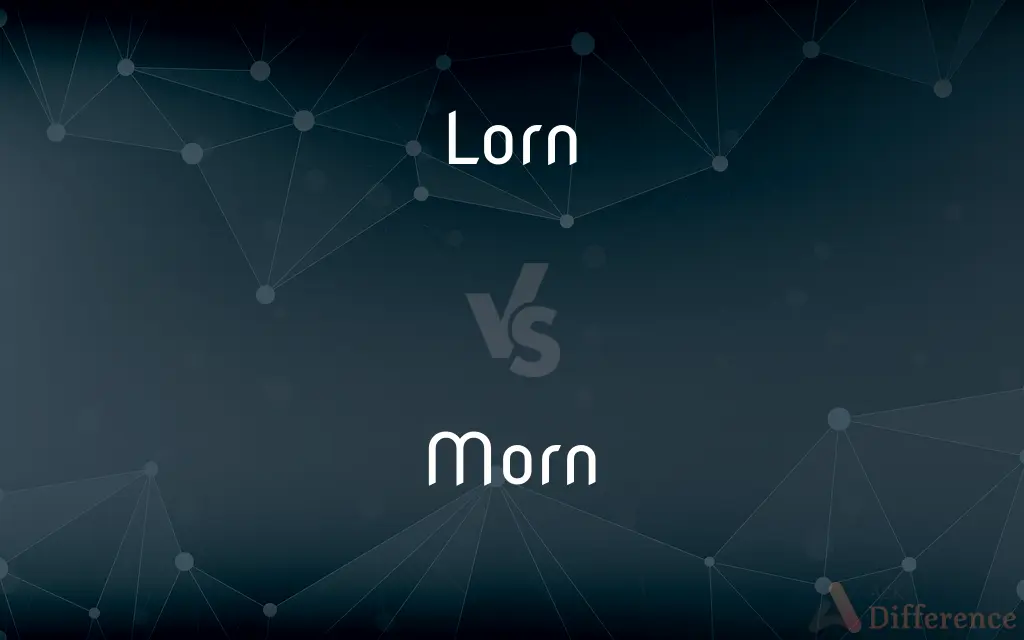 Lorn vs. Morn — What's the Difference?