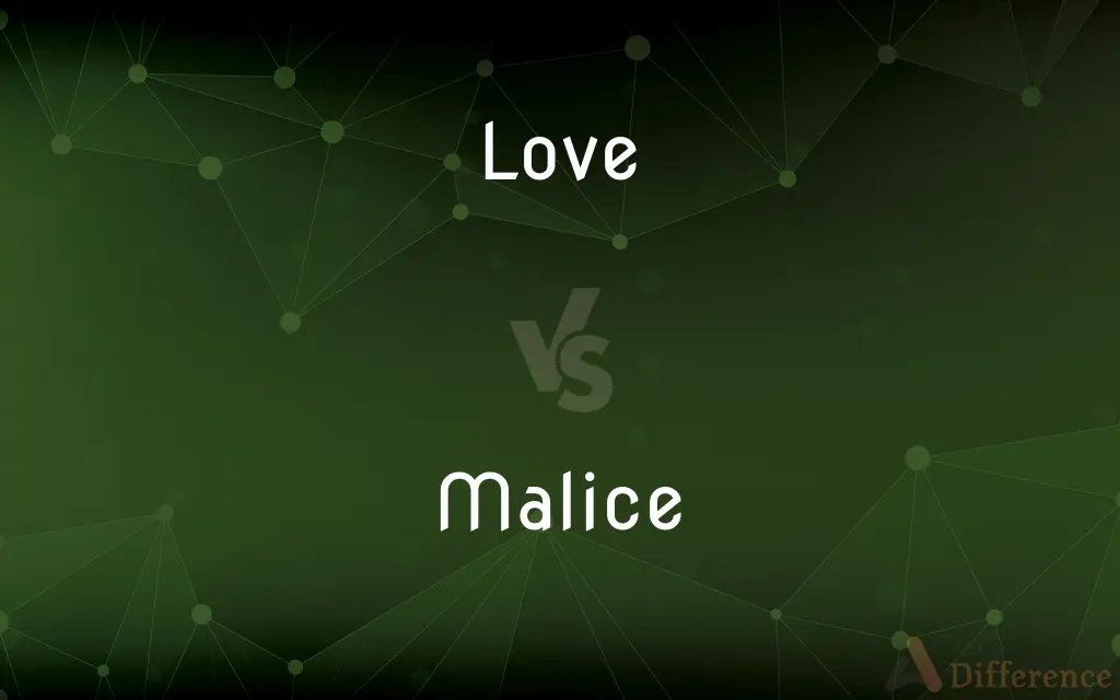 Love vs. Malice — What's the Difference?
