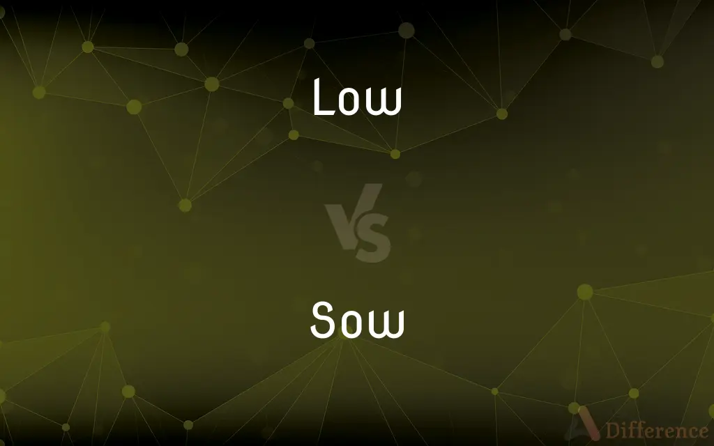 Low vs. Sow — What's the Difference?