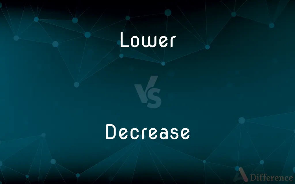 Lower vs. Decrease — What's the Difference?