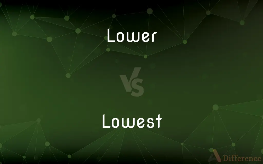 Lower vs. Lowest — What's the Difference?