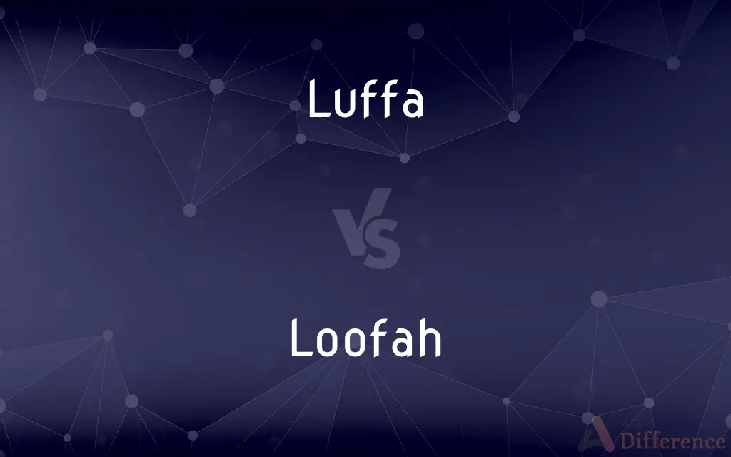 Luffa vs. Loofah — What's the Difference?