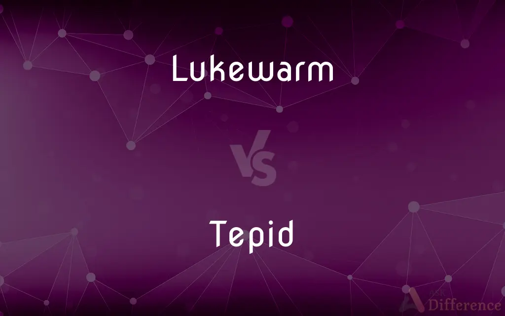 Lukewarm vs. Tepid — What's the Difference?