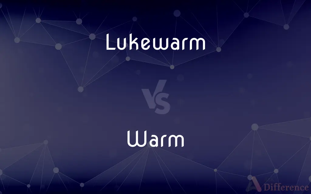 Lukewarm vs. Warm — What's the Difference?