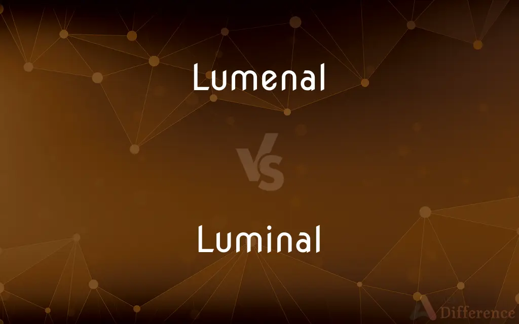 Lumenal vs. Luminal — What's the Difference?