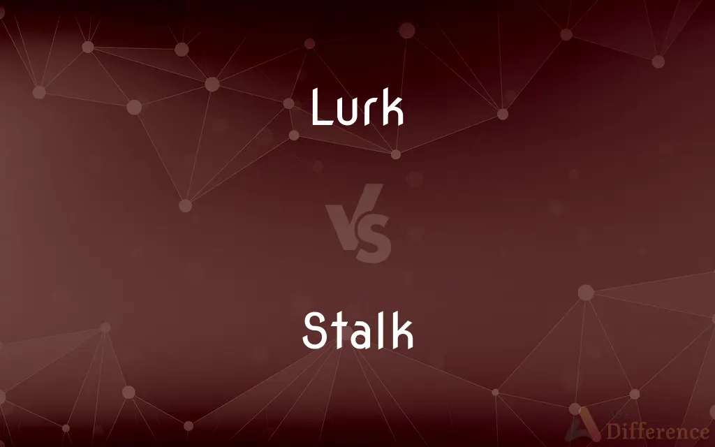 Lurk vs. Stalk — What's the Difference?