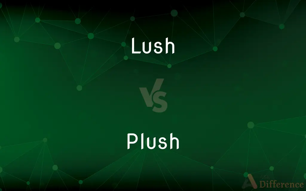 Lush vs. Plush — What's the Difference?