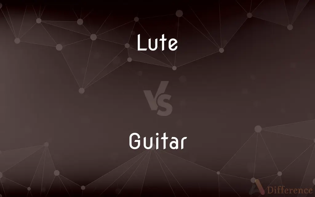 Lute vs. Guitar — What's the Difference?