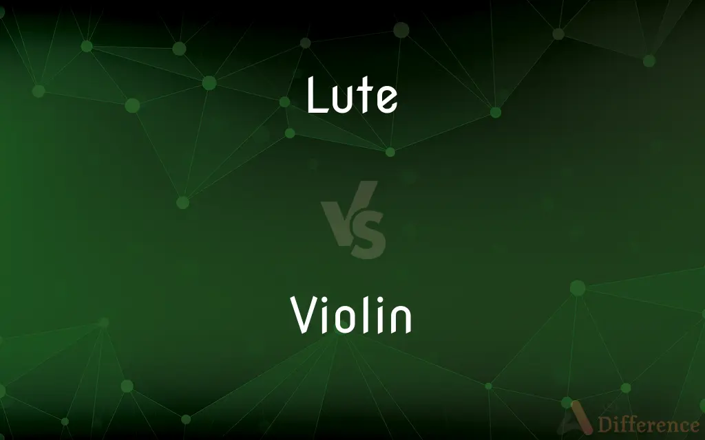 Lute vs. Violin — What's the Difference?