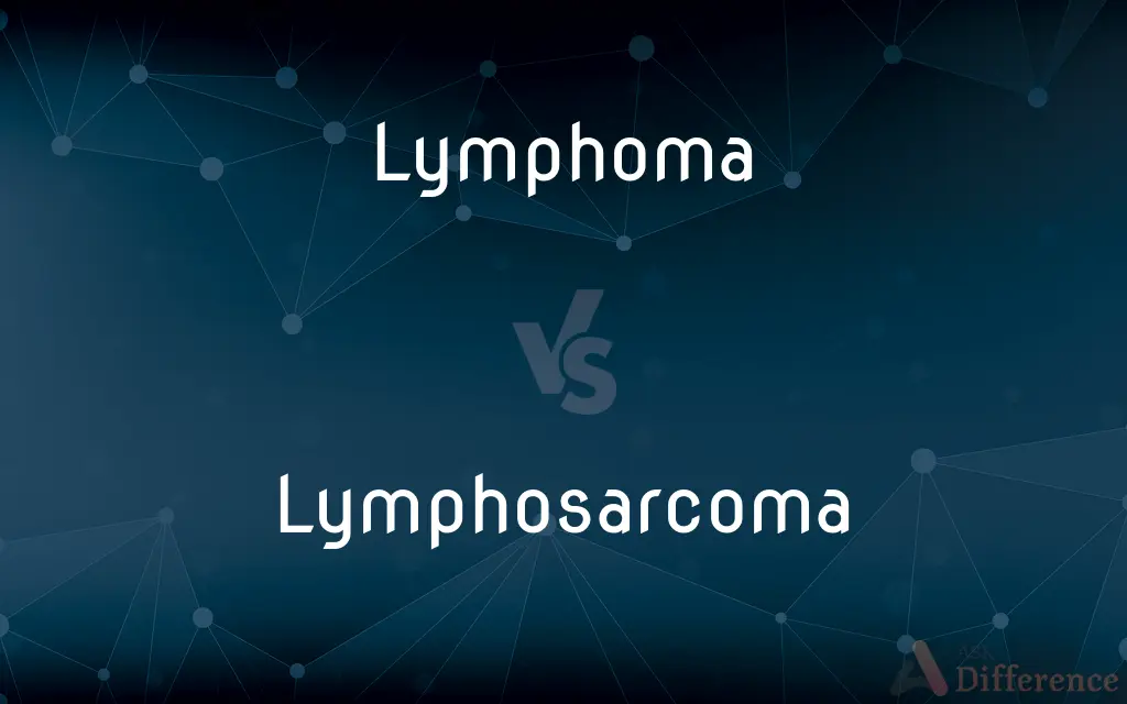 Lymphoma vs. Lymphosarcoma — What's the Difference?