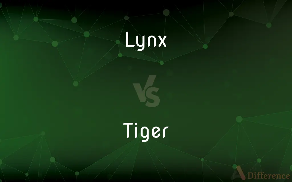 Lynx vs. Tiger — What's the Difference?