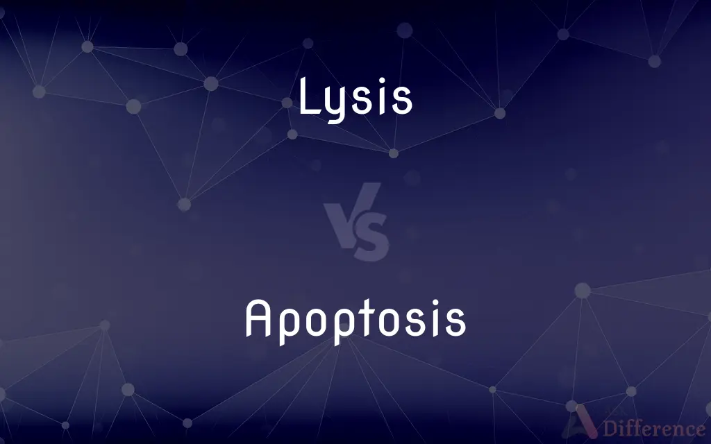 Lysis vs. Apoptosis — What's the Difference?