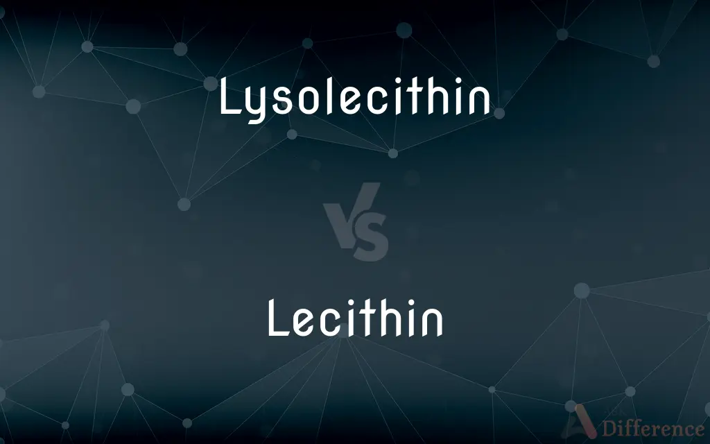 Lysolecithin vs. Lecithin — What's the Difference?
