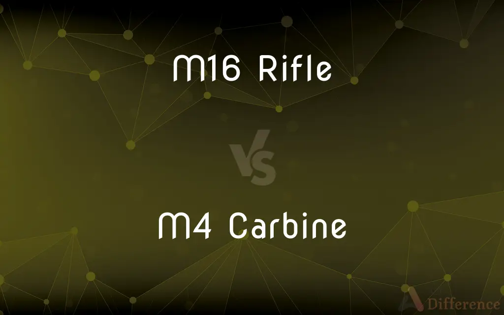 M16 Rifle vs. M4 Carbine — What's the Difference?