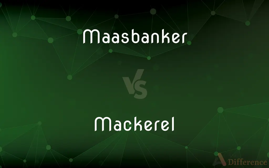 Maasbanker vs. Mackerel — What's the Difference?