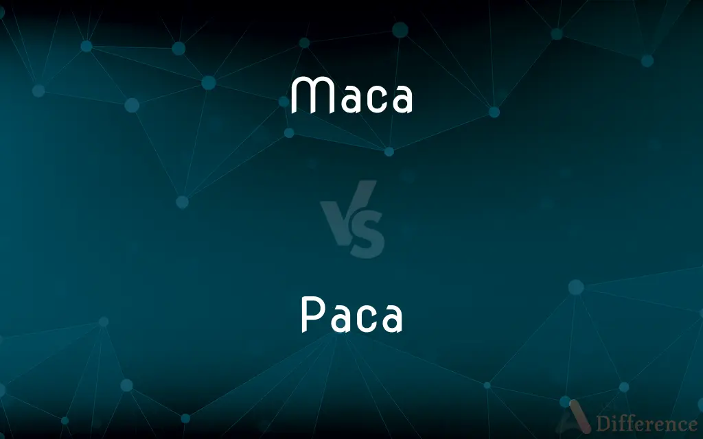 Maca vs. Paca — What's the Difference?