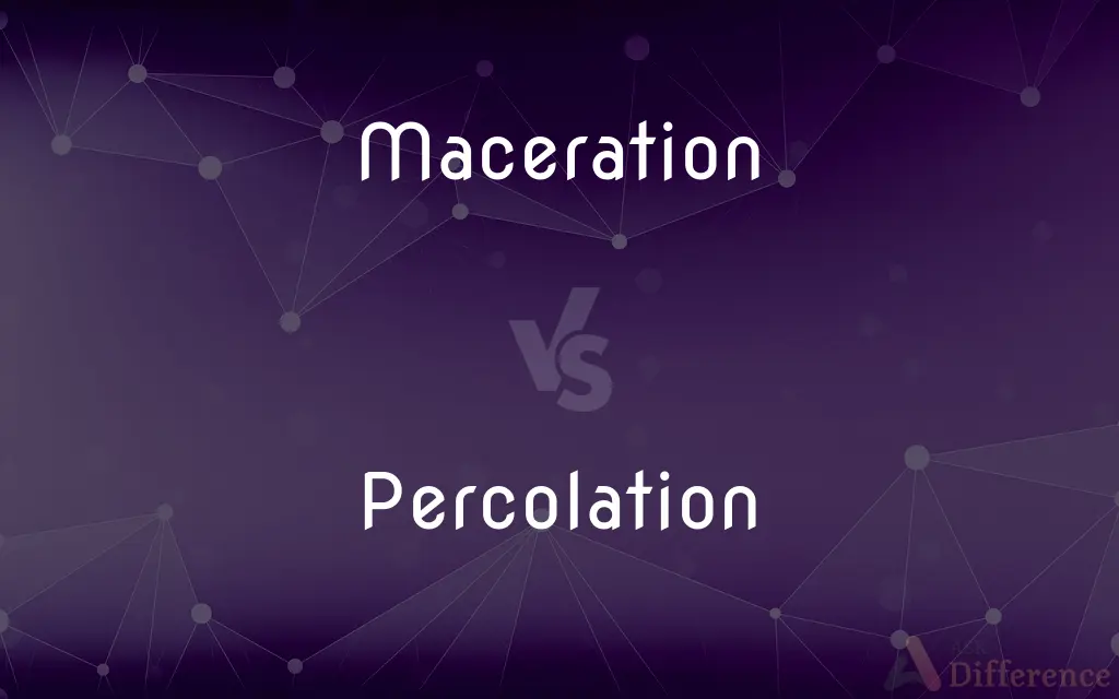Maceration vs. Percolation — What's the Difference?