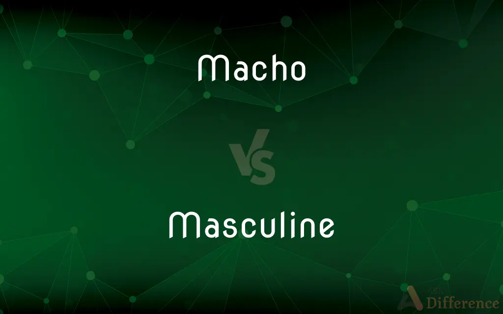 Macho vs. Masculine — What's the Difference?