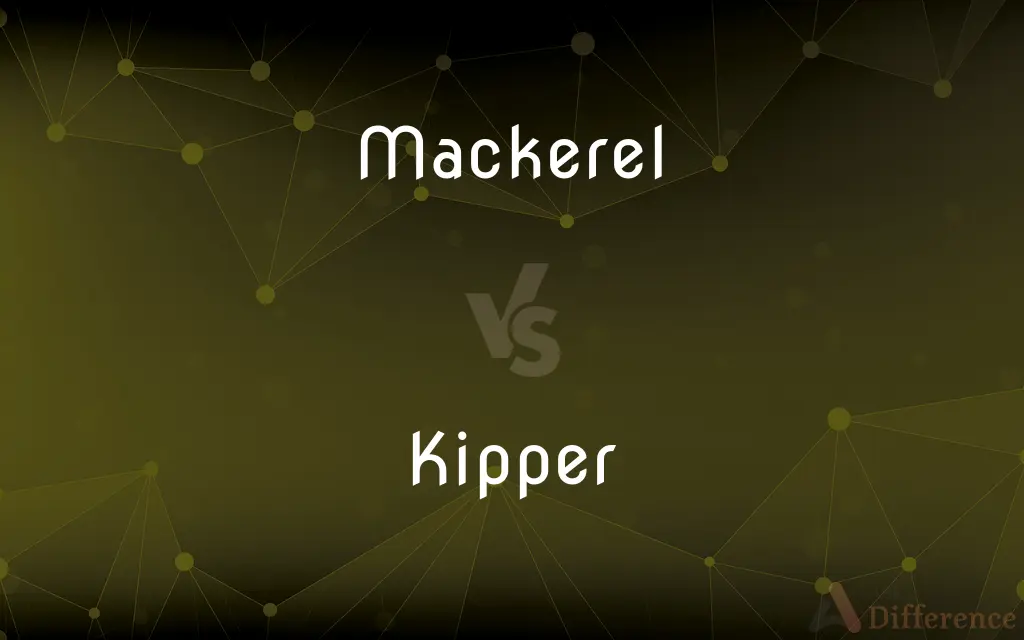 Mackerel vs. Kipper — What's the Difference?