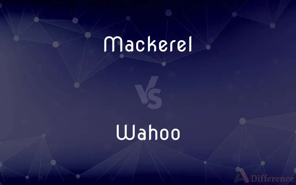 Mackerel vs. Wahoo — What's the Difference?