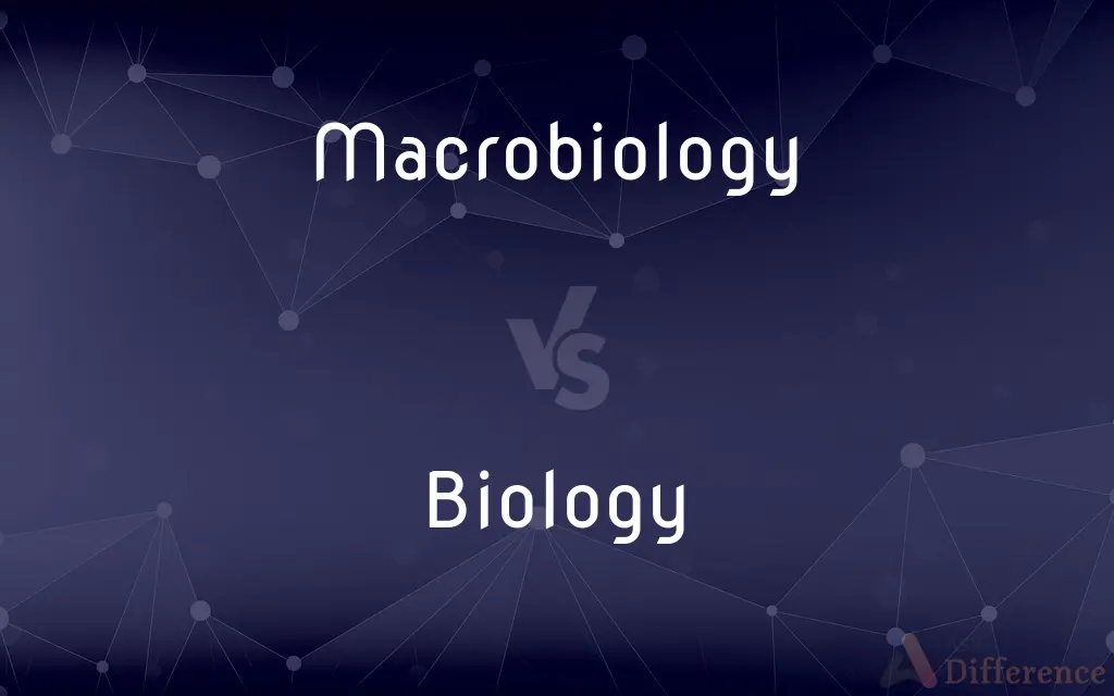 Macrobiology vs. Biology — What's the Difference?