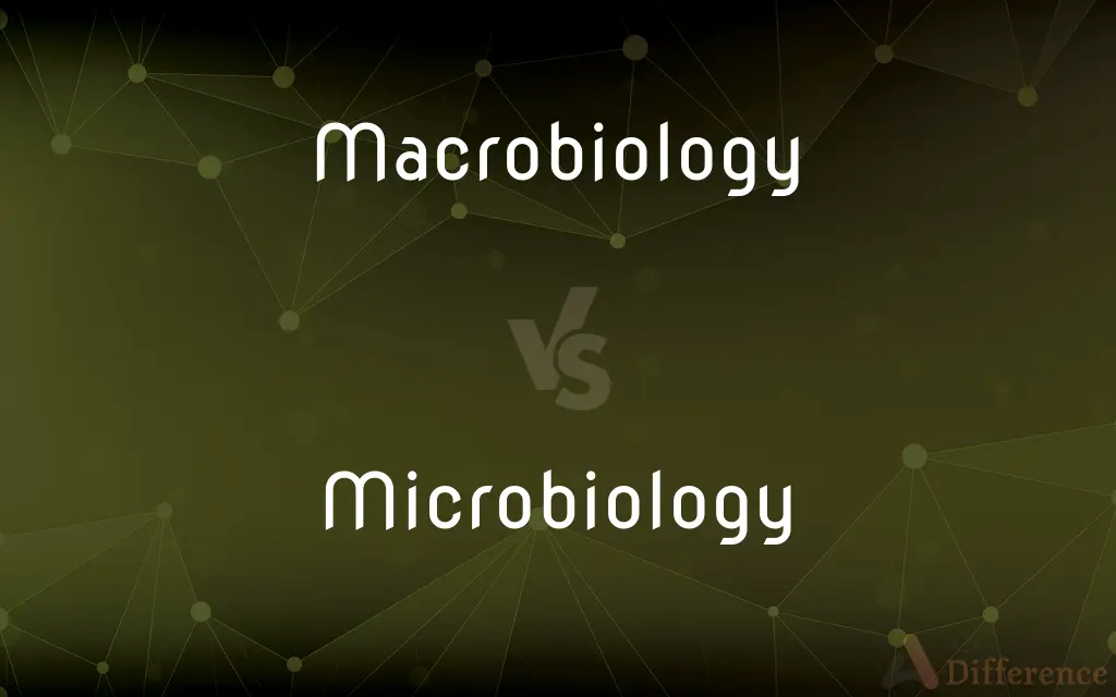 Macrobiology vs. Microbiology — What's the Difference?