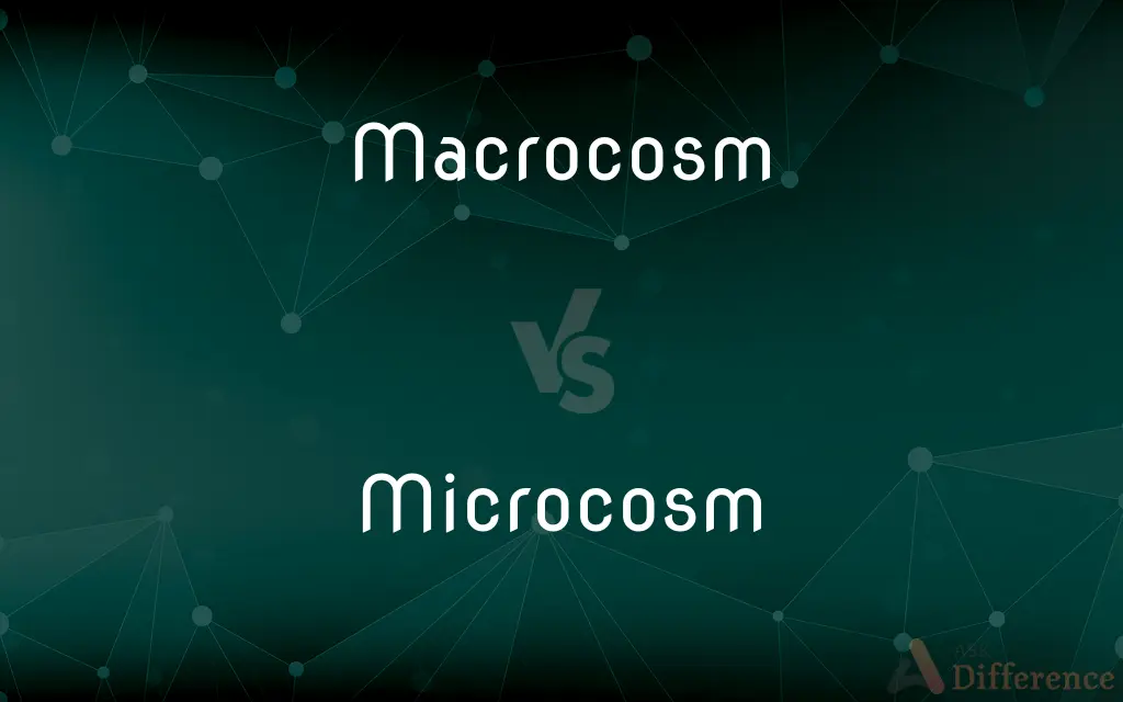 Macrocosm vs. Microcosm — What's the Difference?
