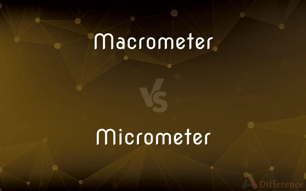 Macrometer vs. Micrometer — What's the Difference?