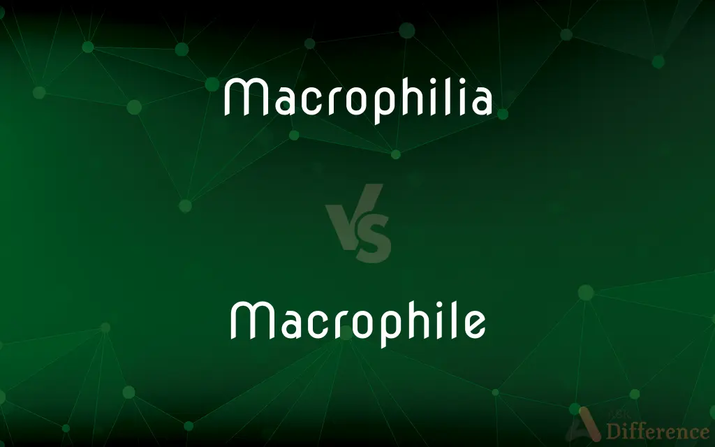 Macrophilia vs. Macrophile — What's the Difference?