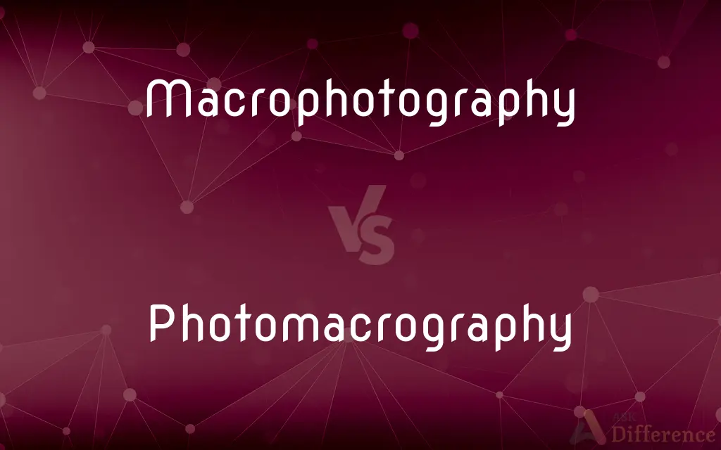 Macrophotography vs. Photomacrography — What's the Difference?