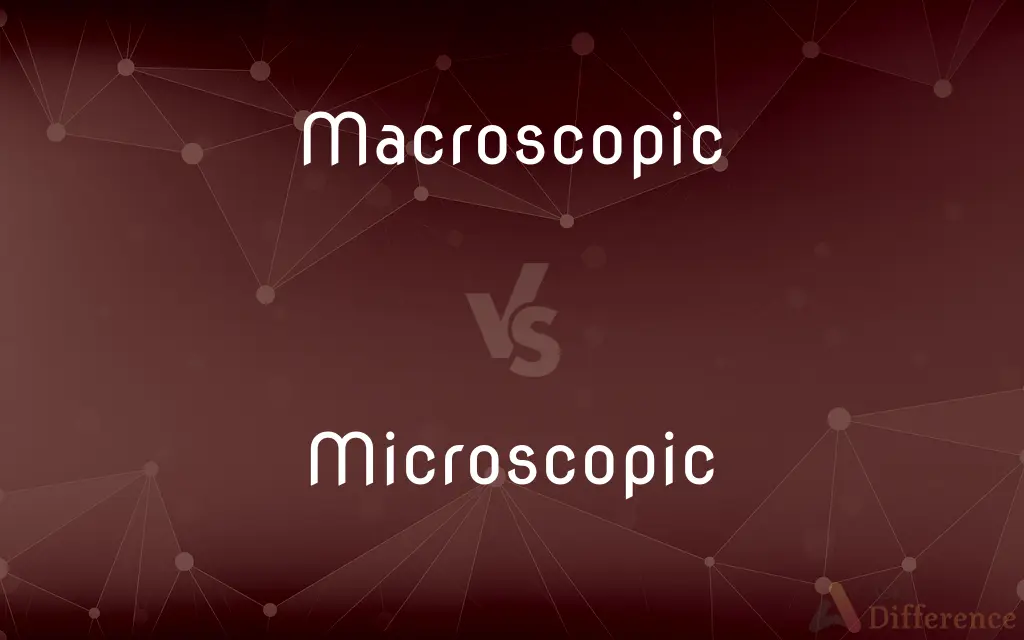 Macroscopic vs. Microscopic — What's the Difference?