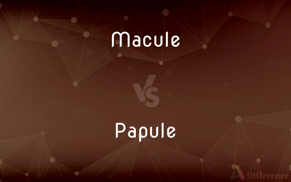 Macule vs. Papule — What's the Difference?