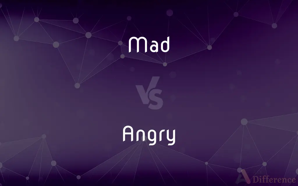 Mad vs. Angry — What's the Difference?