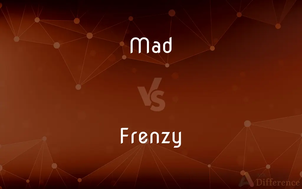 Mad vs. Frenzy — What's the Difference?