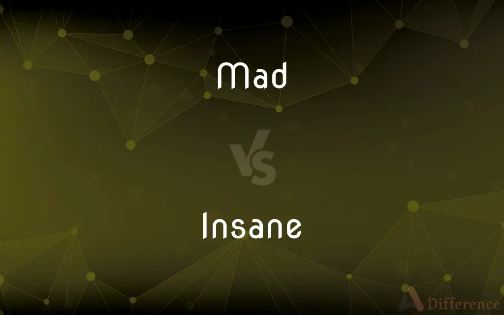Mad vs. Insane — What's the Difference?