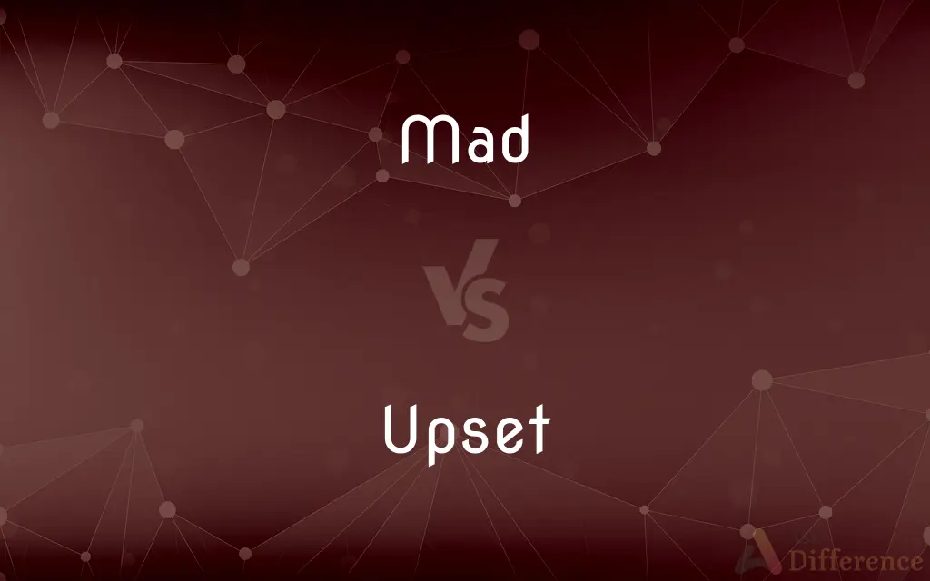 Mad vs. Upset — What's the Difference?