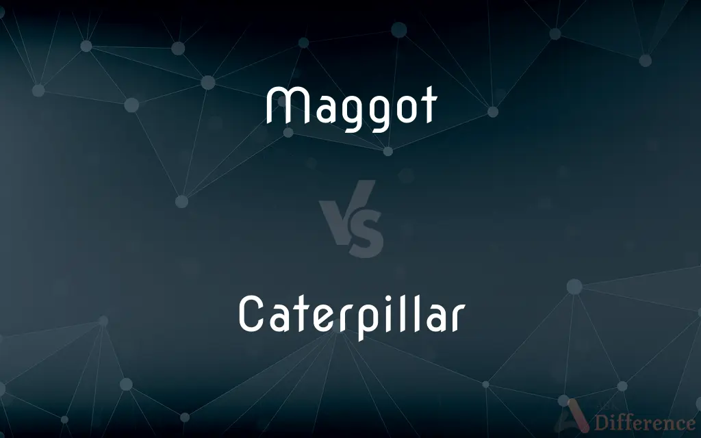 Maggot vs. Caterpillar — What's the Difference?