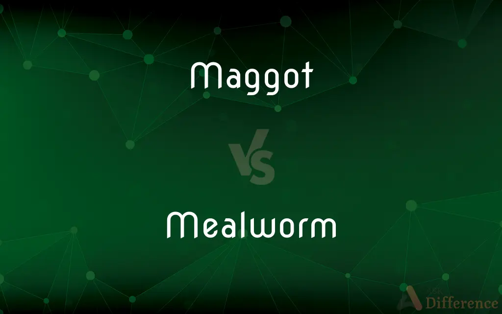 Maggot vs. Mealworm — What's the Difference?