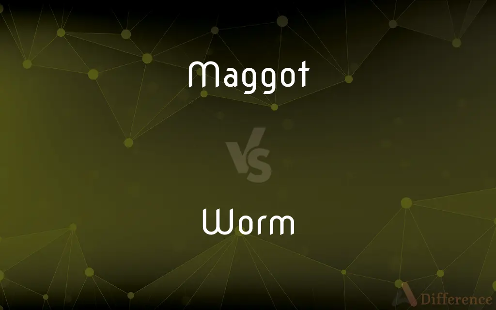 Maggot vs. Worm — What's the Difference?