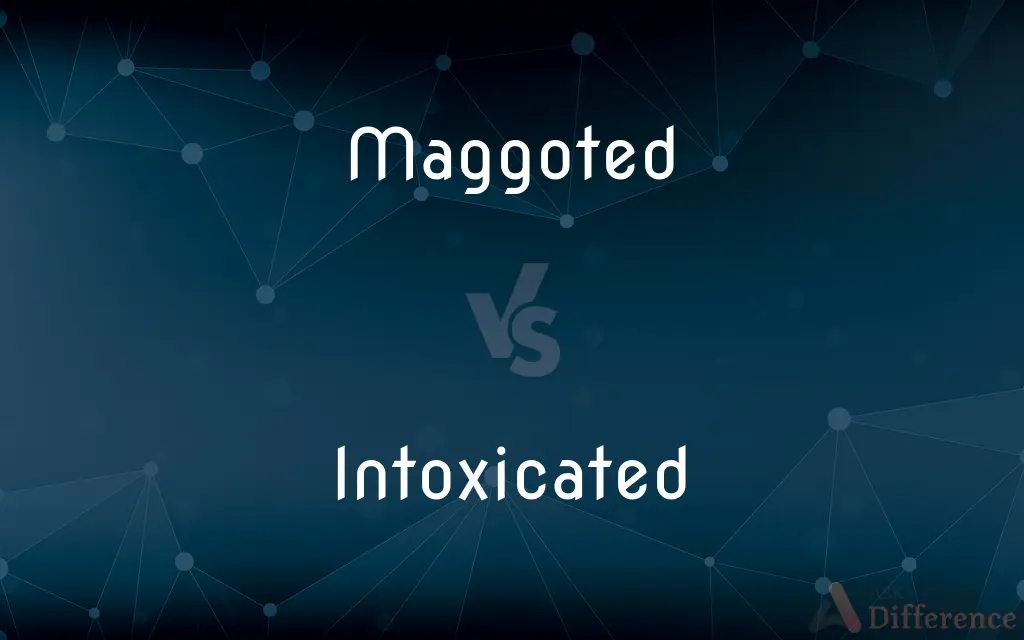 Maggoted vs. Intoxicated — What's the Difference?